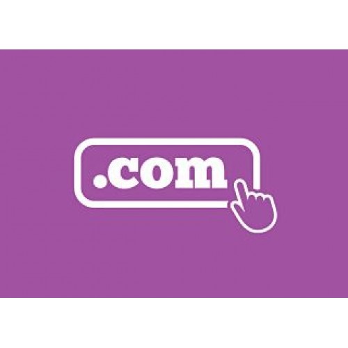 Payment for 1 years .com domain registration 